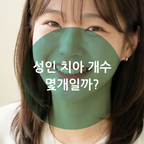 성인치아개수와 사랑니 포함 여부를 설명하는 웰뷰 블로그 대표 이미지