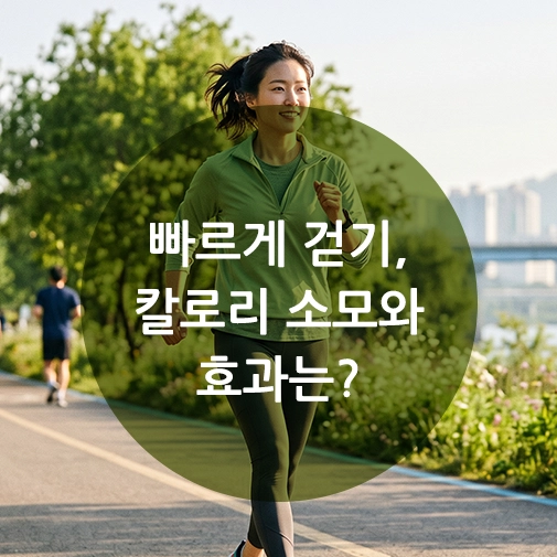 빠르게 걷기 효과 서울 한강변 공원에서 아침 햇살을 받으며 올바른 자세로 빠르게 걷는 한국인 여성